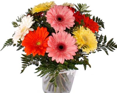 ETERNA PRIMAVERA Ramo compuesto por gerberas · Tienda Online en Alcalá de Henares · Madrid