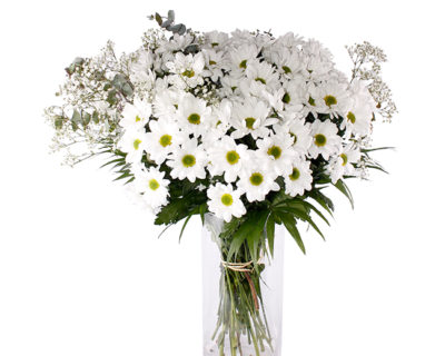 DULCE MARGARITA Elegante, sencillo y duradero, así es nuestro ramo de margaritas blancas y paniculata.. Floristería Pétalos · Tienda Online. Alcalá de Henares, Madrid.