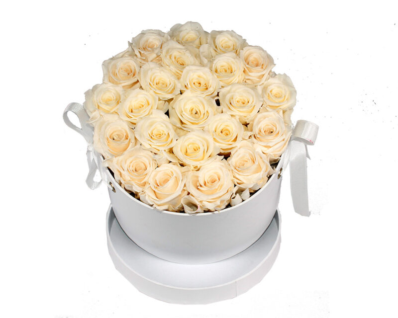 Caja Rosa Eterna Blanca. Floristería Pétalos · Tienda Online. Gran selección de complementos florales: jarrones, maceteros, cestas para flores y plantas. Haz tu pedido online y recibe el envío en tu domicilio.