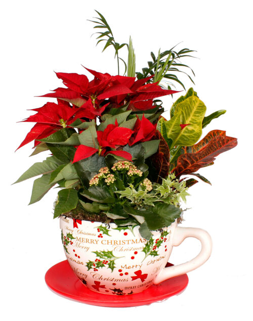 Taza de Navidad Grande · Perfecta para regalar y sorprender a tu seres queridos con la facilidad de poder hacerlo con envío a domicilio. · Floristería Pétalos · Tienda Online.