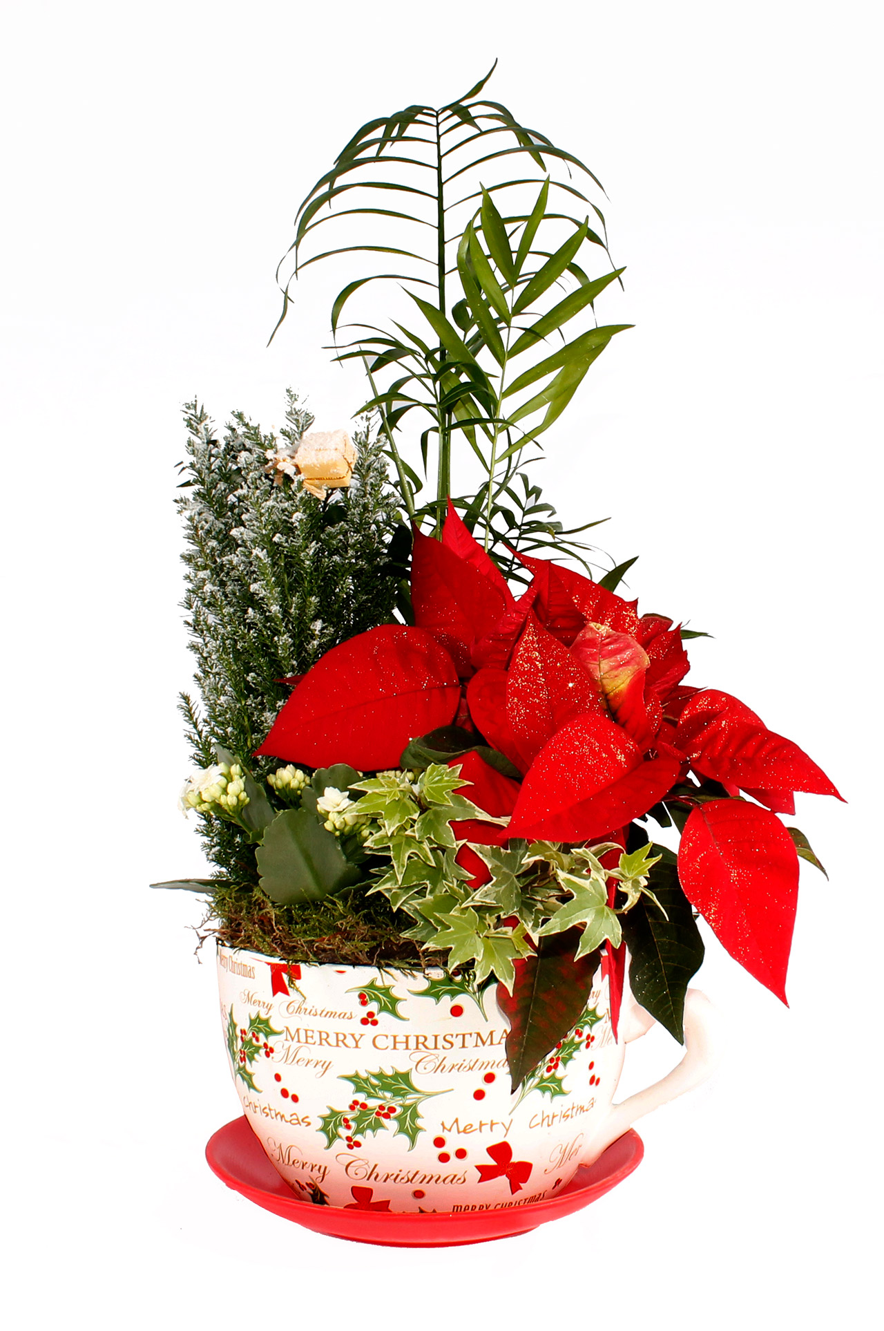Taza de Navidad Mediana · Perfecta para regalar y sorprender a tu seres queridos con la facilidad de poder hacerlo con envío a domicilio. · Floristería Pétalos · Tienda Online.