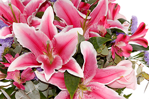 Flores · Floristería Pétalos Online en Alcalá de Henares, Madrid.